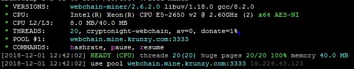 XMRIG CPU running values